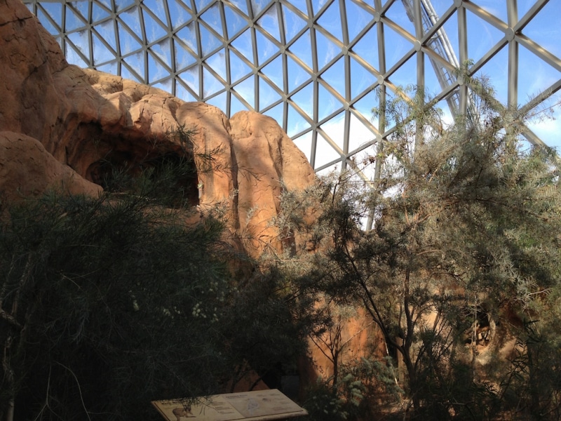 Omahas Henry Doorly Zoo Aquarium Omaha Explorow Com