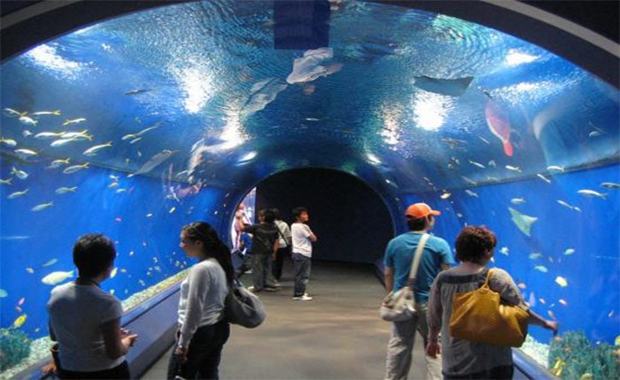 Sand City Hurghada Hurghada Grand Aquarium